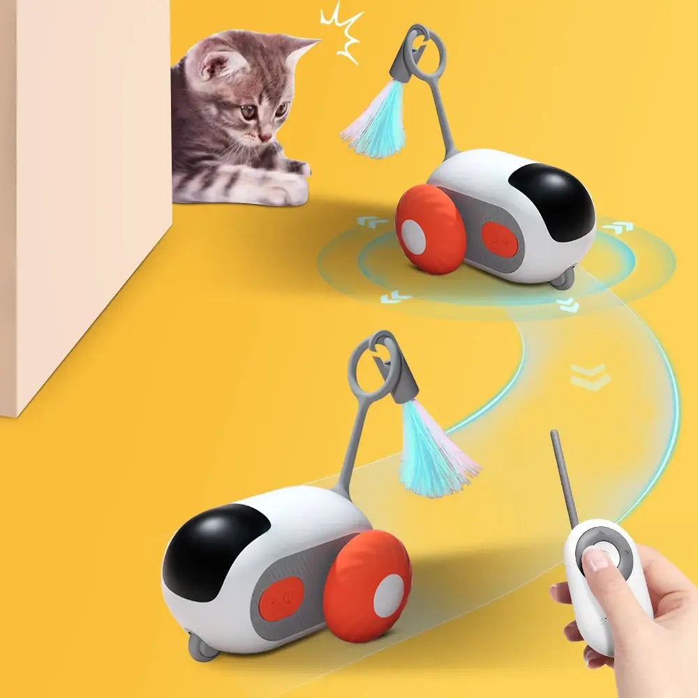 Cat Car Remote Control - Trend Shutter