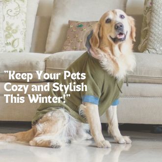 Winter Pets Clothing